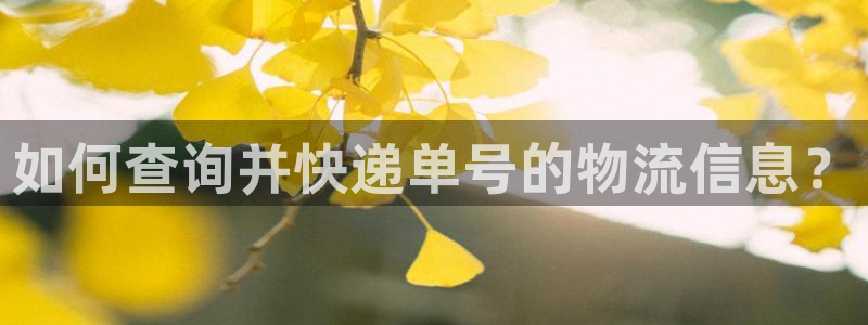 ,优游国际加拿大app预测：如何查询