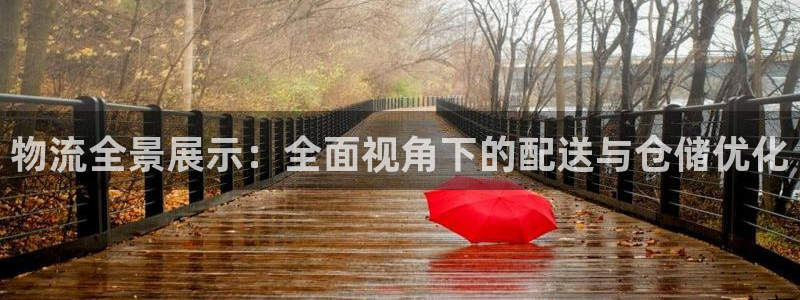 ,优游国际下载链接是多少：物流全景展