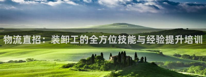 ,优游国际充值不到账：物流直招：装卸