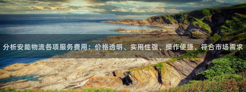 优游国际官网入口：分析安能物流各项服
