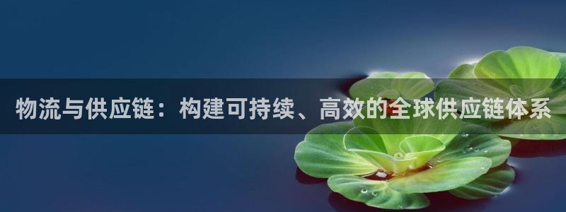 ,优游国际链接多少：物流与供应链：构