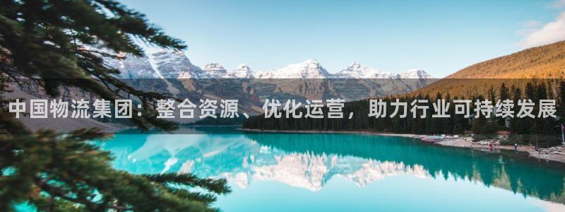 ,优游国际分分压单双技巧：中国物流集