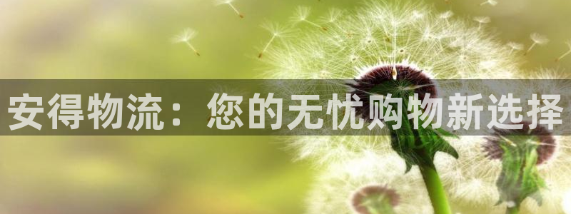 ,优游国际p图上分下款通道：安得物流