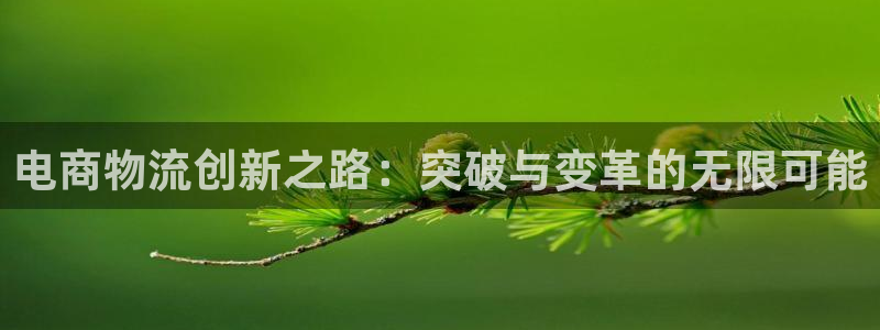 ,优游国际加拿大6.0：电商物流创新