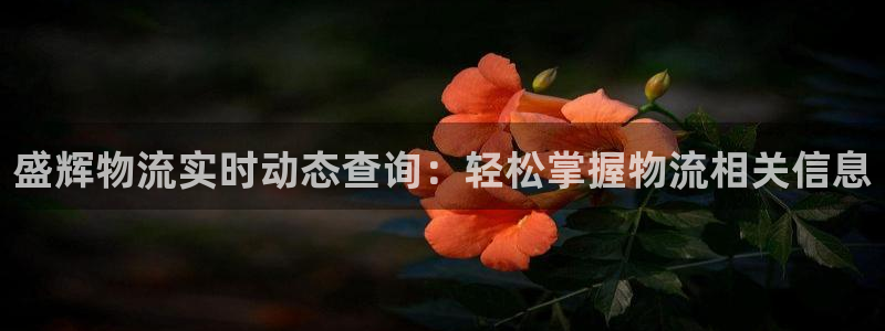 ,优游国际分分压单双技巧：盛辉物流实
