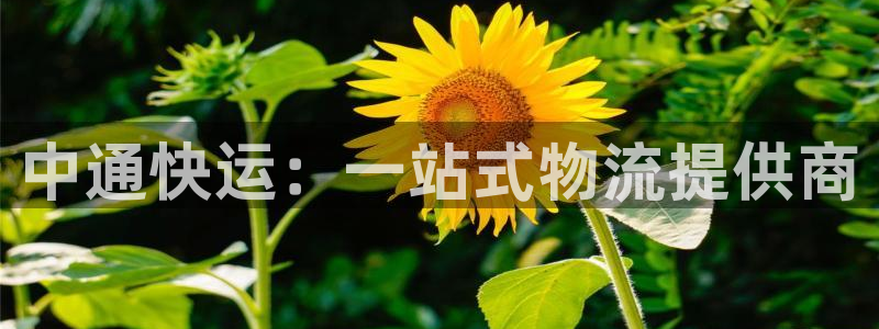 优游国际官网下载多少：中通快运：一站
