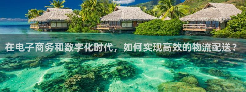 ,优游国际游戏：在电子商务和数字化时