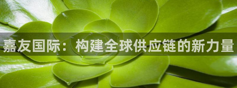 ,优游国际链接是什么：嘉友国际：构建