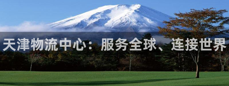 ,优游国际加拿大pc预测：天津物流中