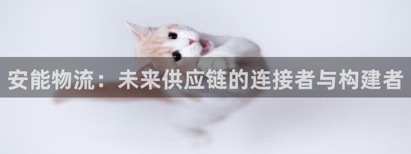 ,优游国际下载不了：安能物流：未来供