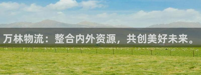 ,优游国际登录不上咋回事：万林物流：