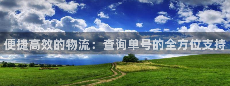 ,优游国际是正规平台吗：便捷高效的物