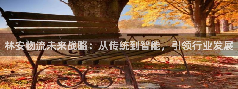 ,优游国际正规吗?：林安物流未来战略：从传统到智能，引领行业