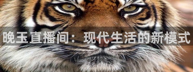 蜘蛛nba免费直播在线观看高清：晚玉直播间：现代生活的新模式