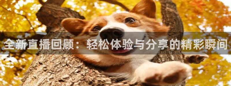 jrs蜘蛛直播nba免费：全新直播回顾：轻松体验与分享的精彩瞬间