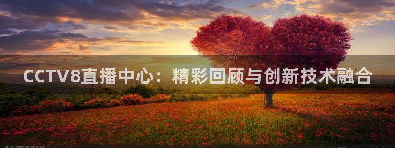 蜘蛛nba直播免费观看