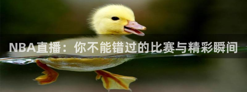 蜘蛛nba直播