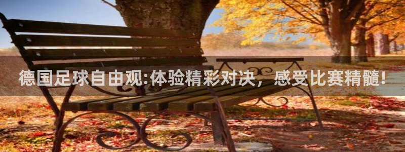 jrs蜘蛛直播nba免费